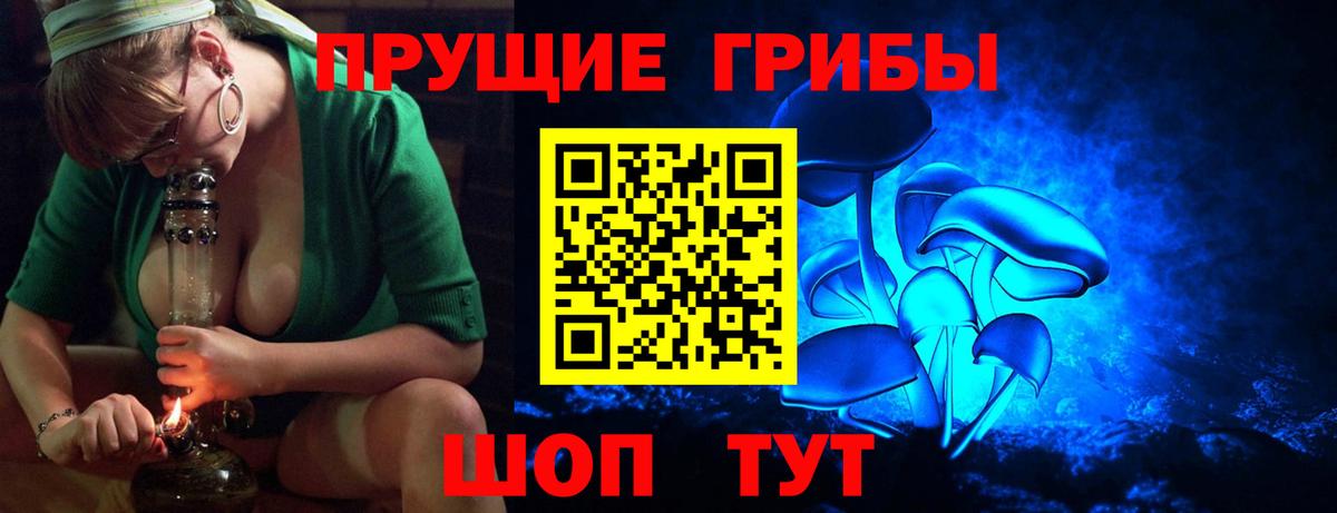 Галлюциногенные грибы Cubensis  Вход с VPN  Псилоцибиновые грибы мицелий  Барабинск 